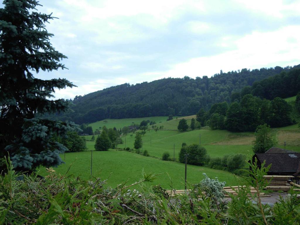 Apartments Zipperhof Lahr/Schwarzwald Kültér fotó