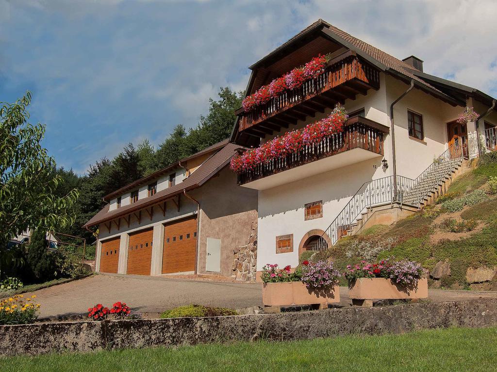 Apartments Zipperhof Lahr/Schwarzwald Kültér fotó