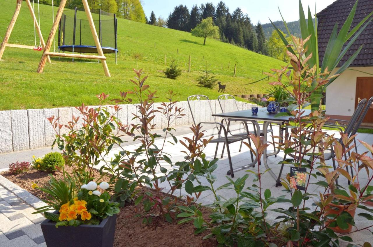 Apartments Zipperhof Lahr/Schwarzwald Kültér fotó